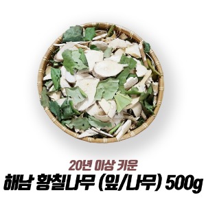 해남 황칠나무 (잎/나무) 500g / 20년 이상재배 최상품