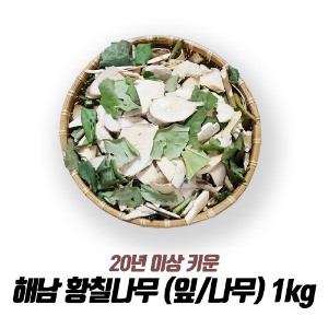 해남 황칠나무 (잎/나무) 1kg / 20년 이상재배 최상품