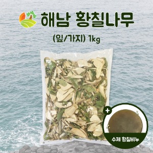 해남 황칠나무 (잎/가지) 1kg + 황칠수제비누