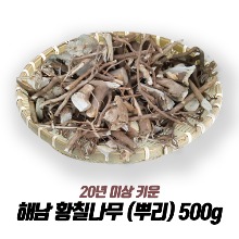 해남 황칠나무 (뿌리) 500g / 20년 이상재배 최상품