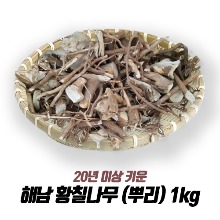 해남 황칠나무 (뿌리) 1kg / 20년 이상재배 최상품