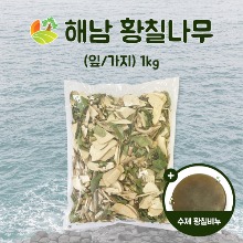 해남 황칠나무 (잎/가지) 1kg + 황칠수제비누